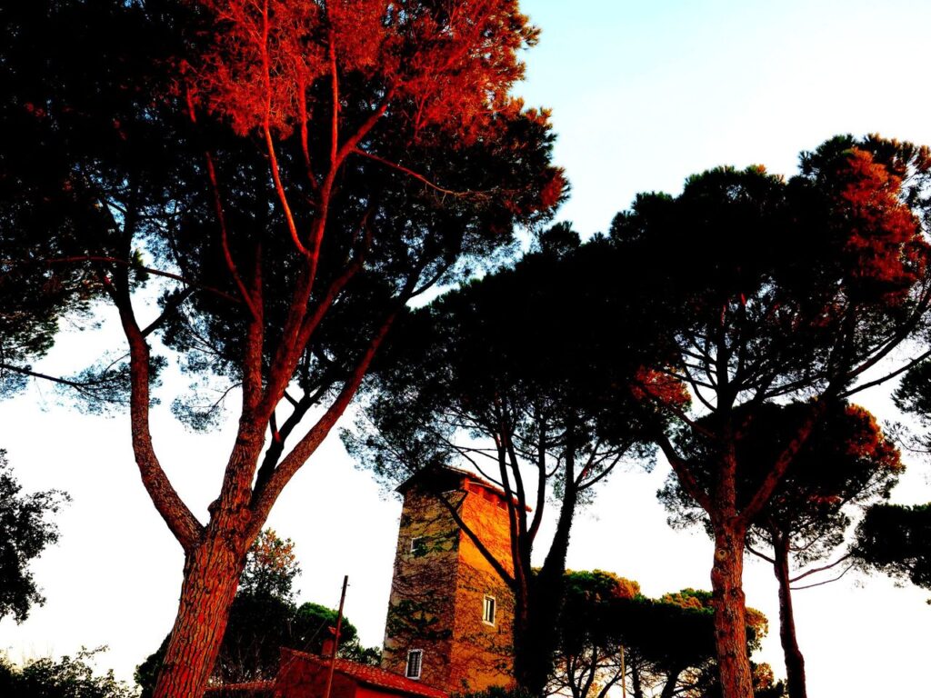 ranco Leggeri-Fotoreportage-ROMA -Torre Aurelia