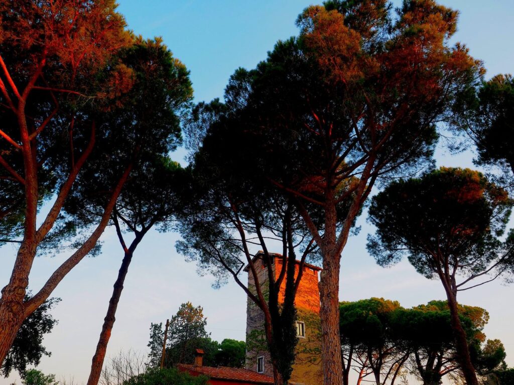 Franco Leggeri-Fotoreportage-ROMA -Torre Aurelia