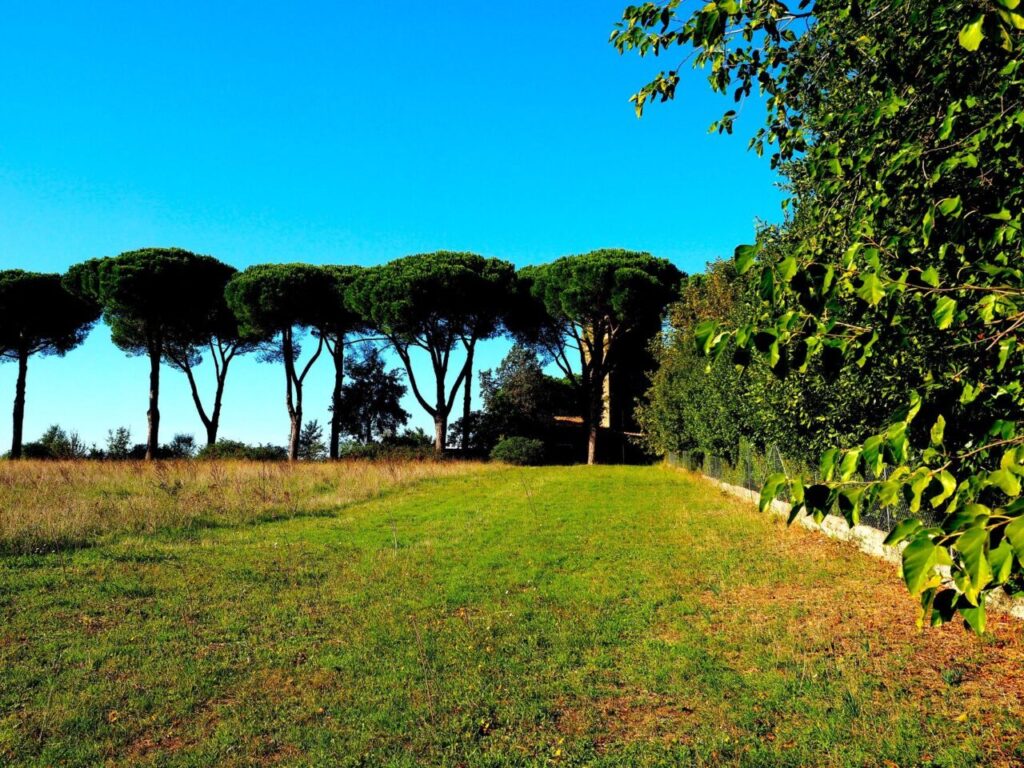 Franco Leggeri-Fotoreportage-ROMA -Torre Aurelia