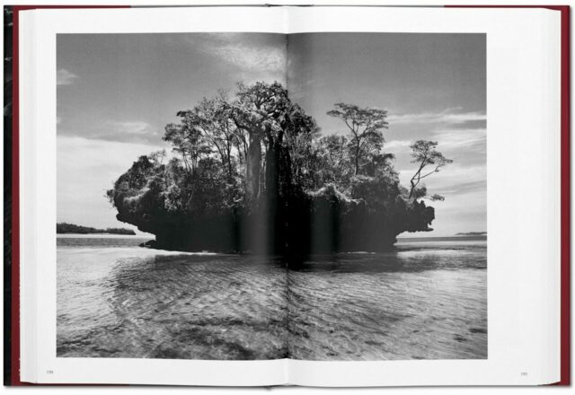 Sebastião Salgado. GENESI-