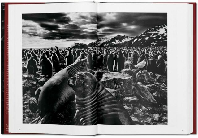 Sebastião Salgado. GENESI-