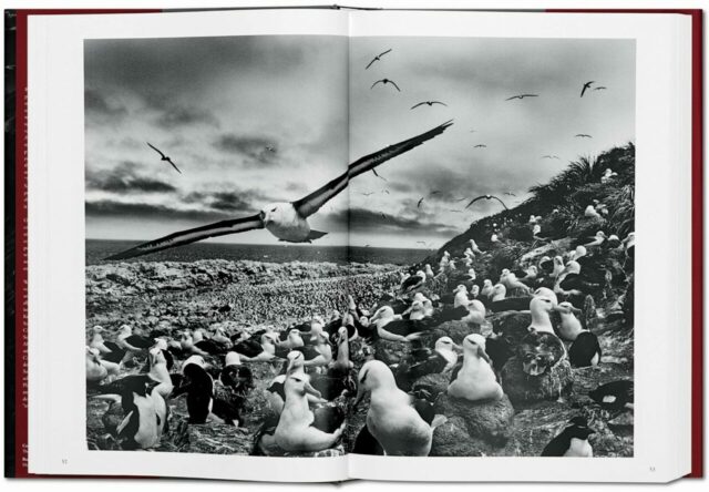 Sebastião Salgado. GENESI-