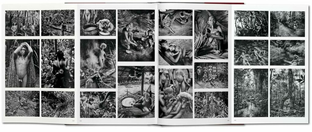 Sebastião Salgado. GENESI-