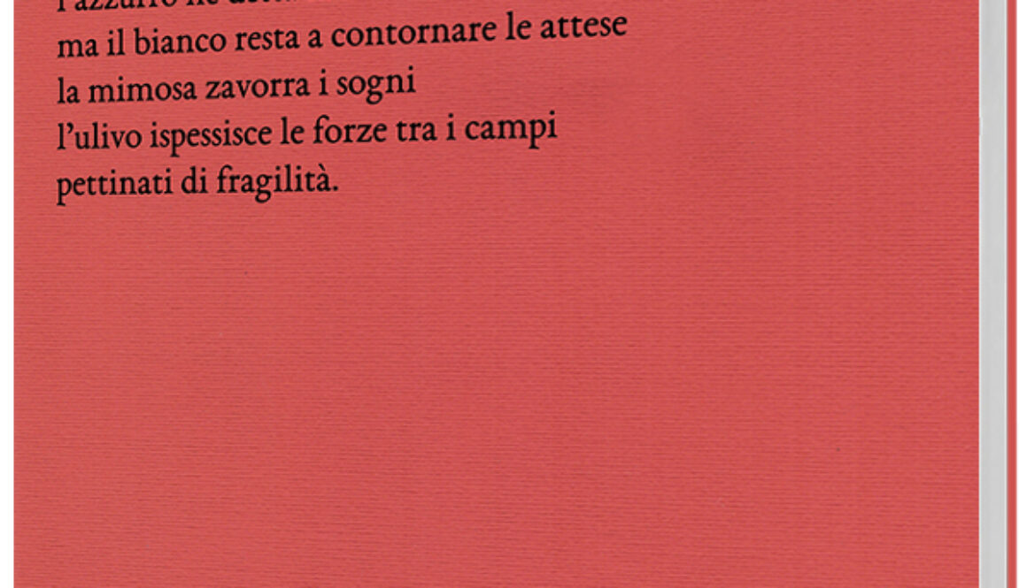 Sonia Petroni Poesie da Di*vento