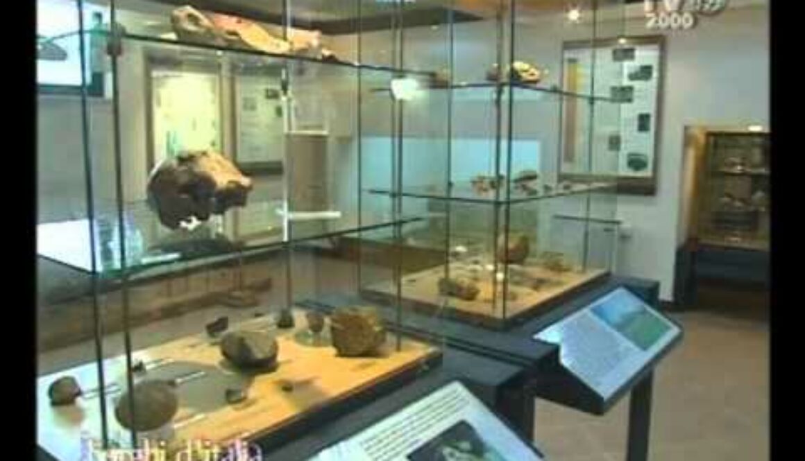 Museo Preistorico di Pofi