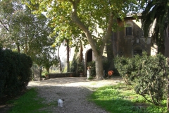 Immagine 053 copia