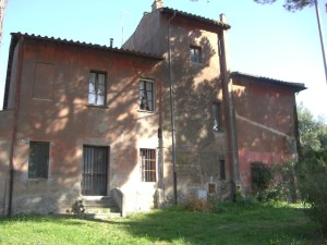 Immagine 031 copia
