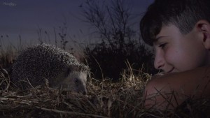 IGNAZIO SCALAS –documentarista e fotografo della Campagna Romana-