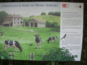 Oasi LIPU di Castel di Guido