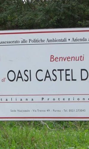 Oasi LIPU di Castel di Guido