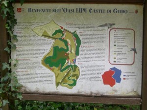 Oasi LIPU di Castel di Guido