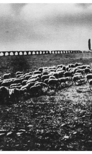 Campagna Romana – dagherrotipo(foto) del 1860