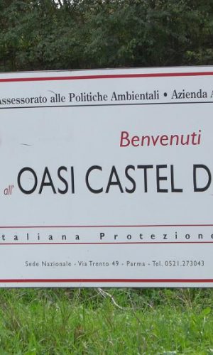 OASI LIPU di Castel di Guido- Foto Gallery del decennale 2009- 1° giorno -