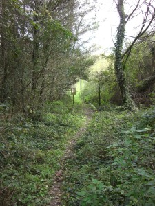 OASI LIPU di Castel di Guido-