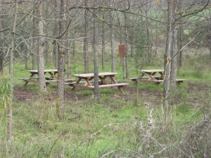 OASI LIPU di Castel di Guido- Foto Archivio anno 2009