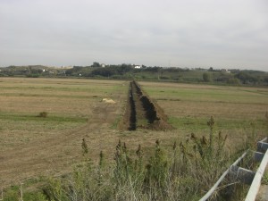Necropoli -Piana del Sole-Castel Malnome