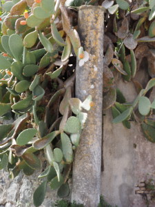 Castel di Guido- Piazzale del Castello-Colonna di Villa romana-