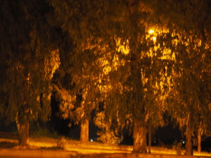 Borgo TESTA di LEPRE By night- Foto Gallery 