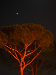 Borgo TESTA di LEPRE By night- Foto Gallery 