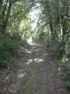 Le Catacambe della via Boccea 