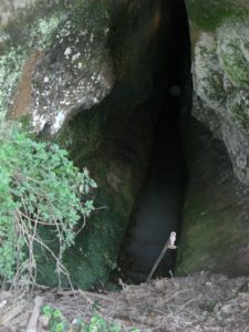 Le Catacambe della via Boccea 
