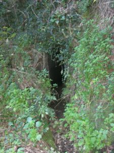 Le Catacambe della via Boccea 