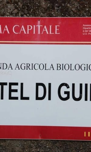 AZIENDA AGRICOLA Castel di Guido