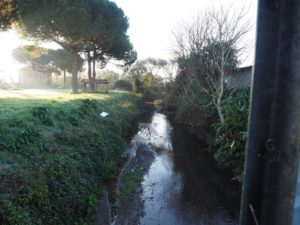 BIVIO DI FREGE-via dell’Arrone-TESTA di LEPRE-