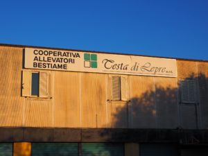 BIVIO DI FREGENE- Coop.Allevatori Bestiame "TESTA DI LEPRE"