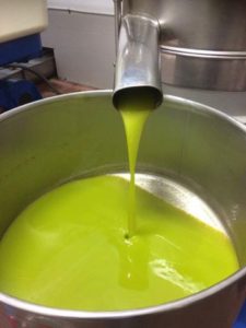 olio extravergine di oliva del Lazio
