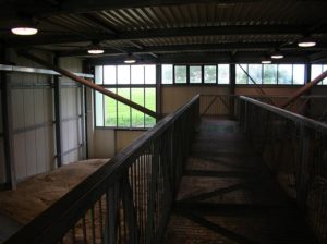 CASTEL DI GUIDO-La Polledrara di Cecanibbio- MUSEO PALEONTOLOGICO