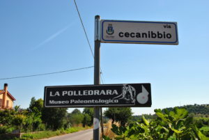 CASTEL DI GUIDO-La Polledrara di Cecanibbio- MUSEO PALEONTOLOGICO
