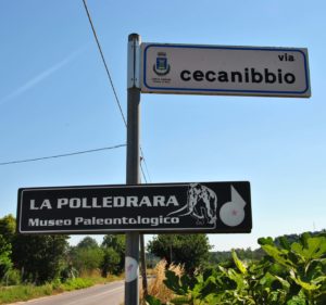 CASTEL DI GUIDO-La Polledrara di Cecanibbio- MUSEO PALEONTOLOGICO