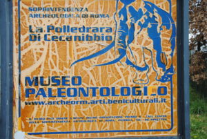 CASTEL DI GUIDO-La Polledrara di Cecanibbio- MUSEO PALEONTOLOGICO
