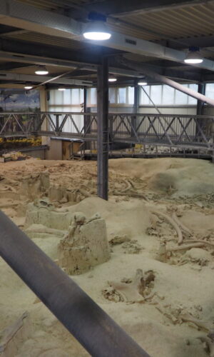 CASTEL DI GUIDO-La Polledrara di Cecanibbio- MUSEO PALEONTOLOGICO