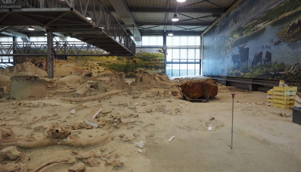 CASTEL DI GUIDO-La Polledrara di Cecanibbio- MUSEO PALEONTOLOGICO