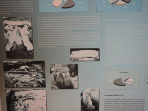 CASTEL DI GUIDO-La Polledrara di Cecanibbio- MUSEO PALEONTOLOGICO