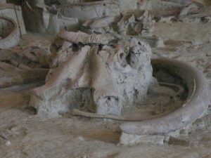 CASTEL DI GUIDO-La Polledrara di Cecanibbio- MUSEO PALEONTOLOGICO
