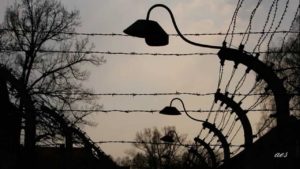 Auschwitz