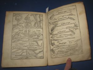 Agostino Gallo- (1564) Le dieci giornate della vera agricoltura e piaceri della villa.