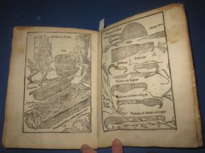 Agostino Gallo- (1564) Le dieci giornate della vera agricoltura e piaceri della villa.