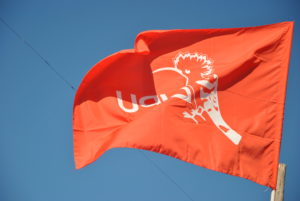 Bandiera LIPU