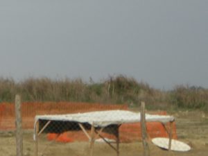 MASSIMINA - MASSA GALLESINA (via Monachina-via Fosso della Questione)-CASAL SELCE lavori anno 2009