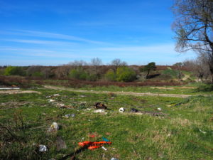Foto Sito Archeologico marzo 2017 --MASSIMINA - MASSA GALLESINA (via Monachina-via Fosso della Questione)-CASAL SELCE -