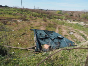 Foto Sito Archeologico marzo 2017 --MASSIMINA - MASSA GALLESINA (via Monachina-via Fosso della Questione)-CASAL SELCE -