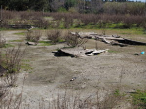 Foto Sito Archeologico marzo 2017 --MASSIMINA - MASSA GALLESINA (via Monachina-via Fosso della Questione)-CASAL SELCE -