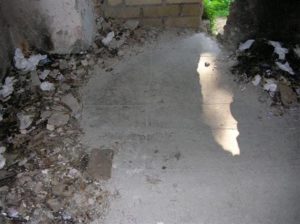 Castel di Guido tra “PROSTITUZIONE&IMMONDIZIA”