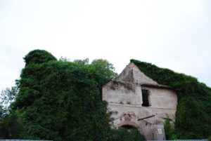 Castel di Guido tra “PROSTITUZIONE&IMMONDIZIA”