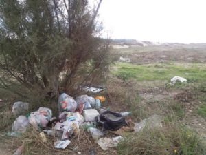 FREGENE-NUOVA VITA PER LA SPIAGGIA DI FELLINI 