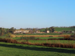 Casale Pamphilj-Testa di Lepre di sotto.
